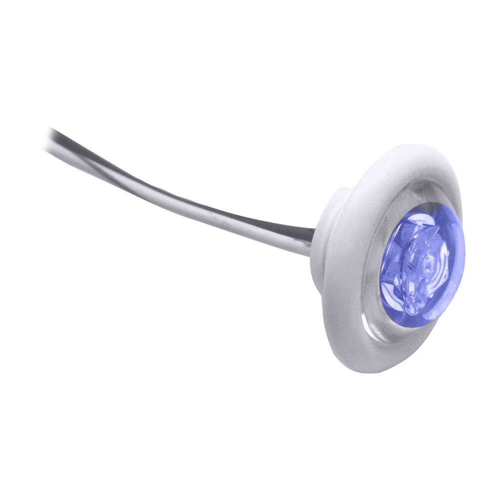 Innovative Lighting LED Bulkhead/Livewell Light "The Shortie" Blue LED w/ White Grommet [011-2540-7] - Twin Screws Marine Service