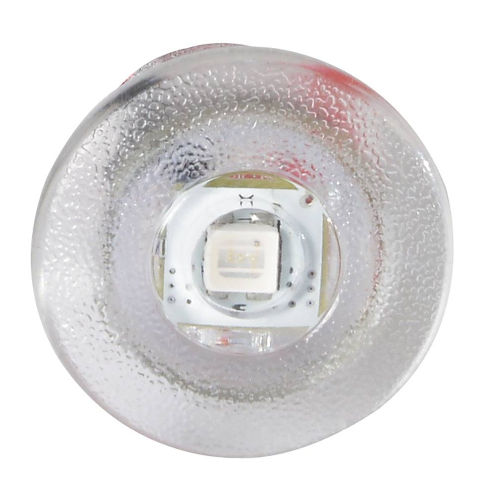 Lumitec Newt - Livewell & Courtesy Light - White Dimming [101084] - Twin Screws Marine Service