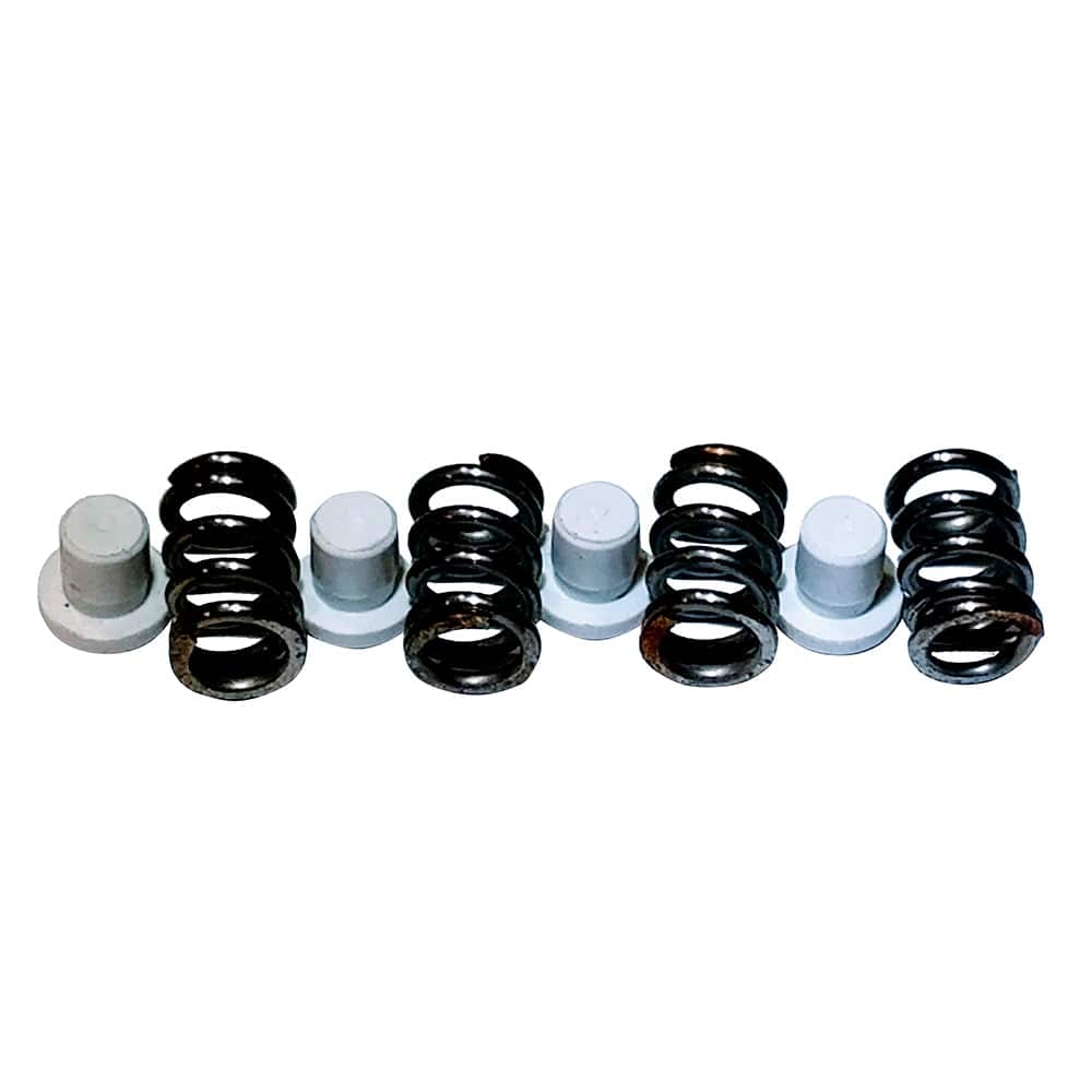 Maxwell Plunger/Spring Kit - 2200-4500 [P101550] - Twin Screws Marine Service