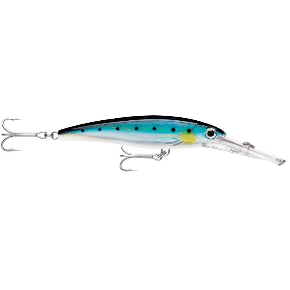 Rapala X-Rap Magnum 15 Blue Sardine [XRMAG15BSRD] - Twin Screws Marine Service