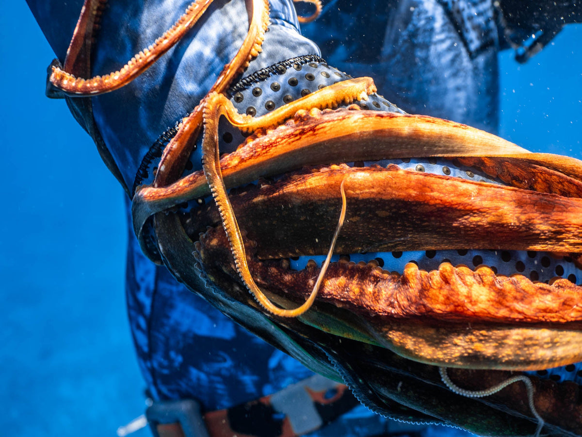 3mm Open Cell Wetsuit - Blue Trilobite Camo